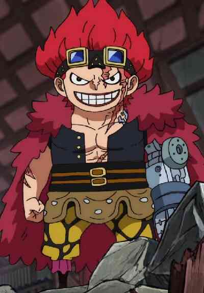 One Piece: A Comprehensive Anatomy! Fierce Fight! The Five from the New Generation (Dub)